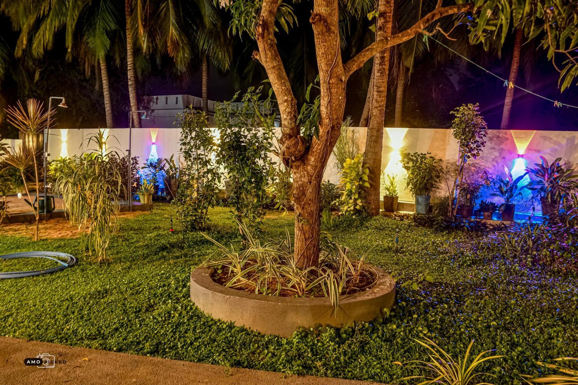 ארוגם Coconut Villa מראה חיצוני תמונה