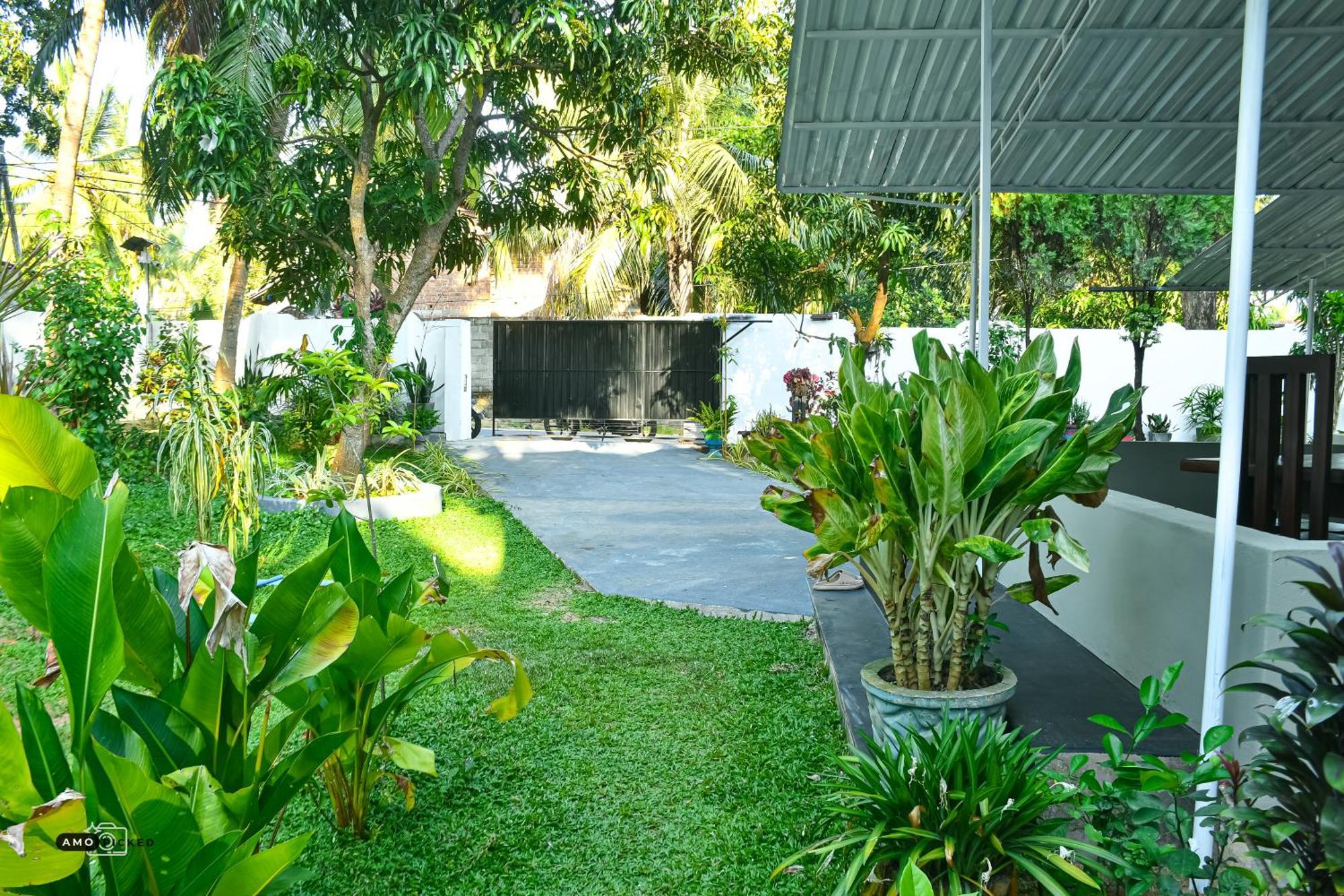 ארוגם Coconut Villa מראה חיצוני תמונה